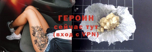 индика Арсеньев