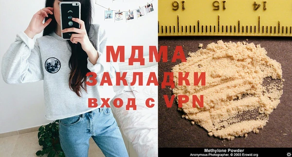 индика Арсеньев