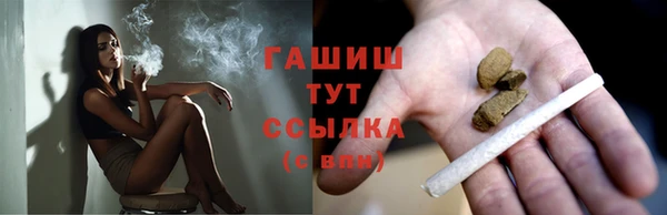 индика Арсеньев