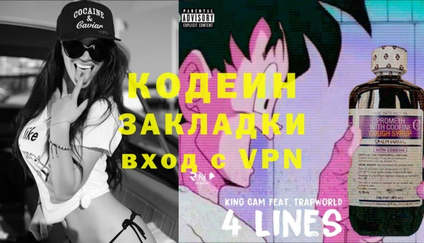 индика Арсеньев