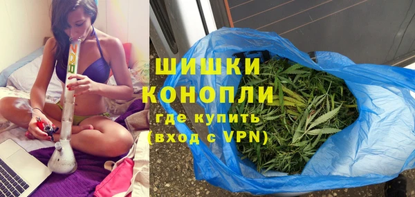 индика Арсеньев