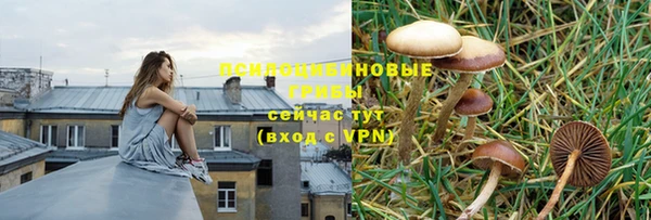 первитин Армянск