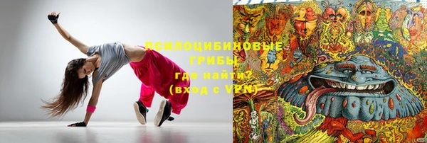 индика Арсеньев