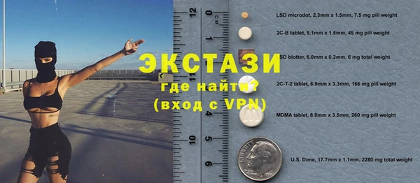 индика Арсеньев