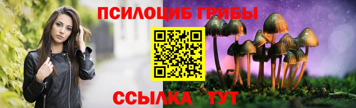Полевской  Псилоцибиновые грибы ЛСД  Вход с VPN 